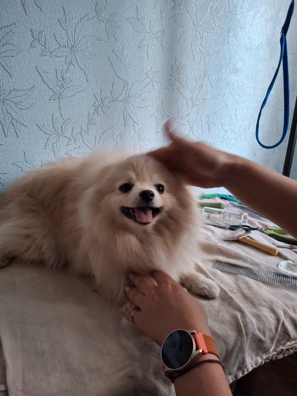 Маленький Бєня