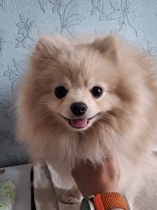 Маленький Бєня