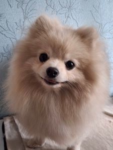 Маленький Бєня