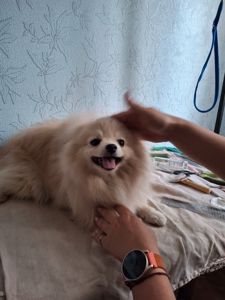 Маленький Бєня