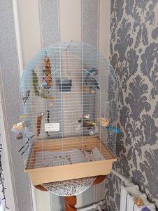Калита монах