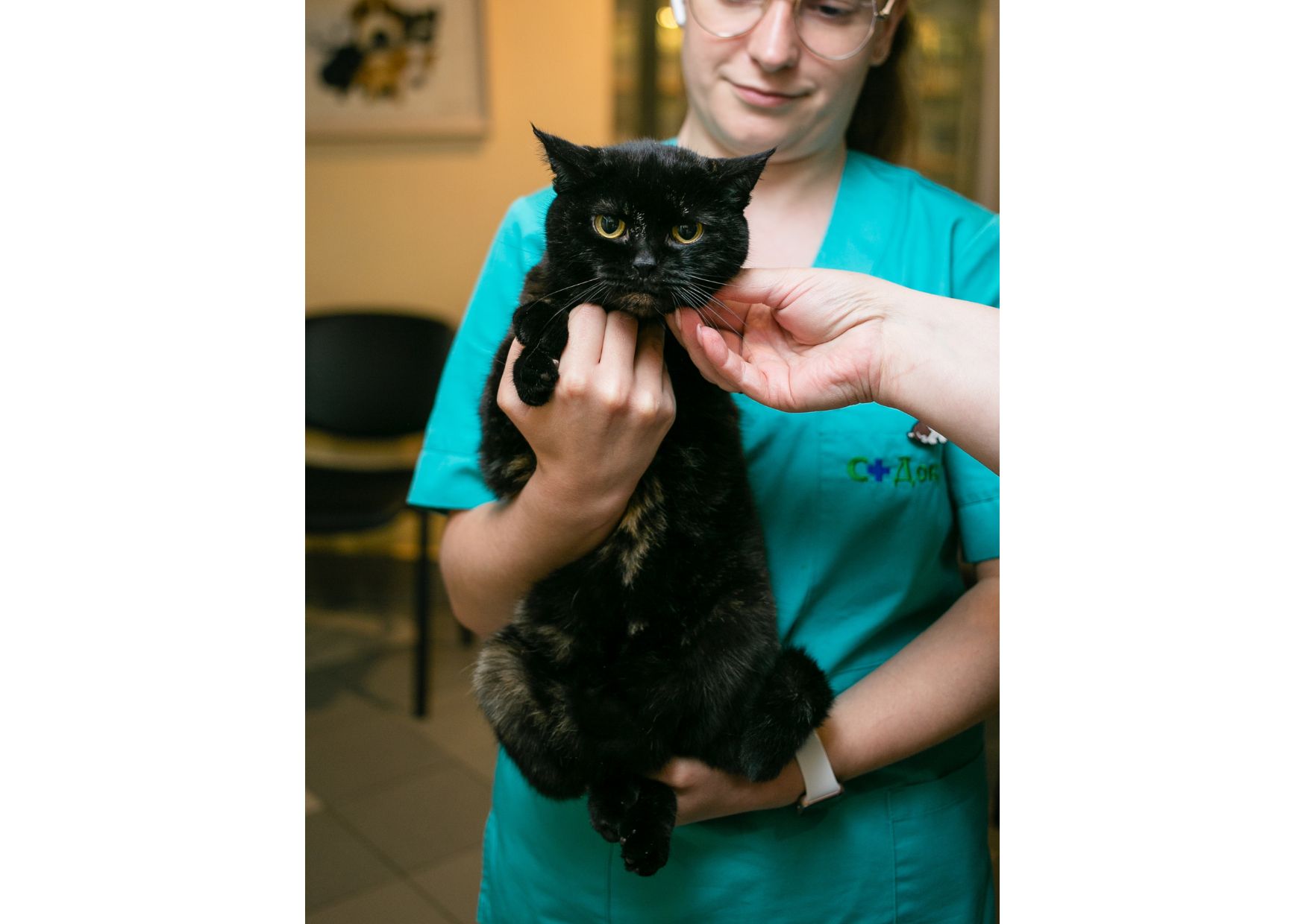 Дивовижна дівчинка з нетерпінням чекає на свою людину 😻