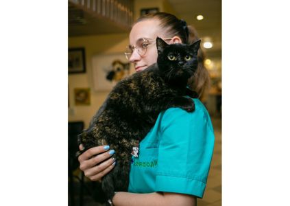 Дивовижна дівчинка з нетерпінням чекає на свою людину 😻