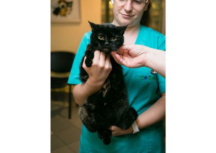Дивовижна дівчинка з нетерпінням чекає на свою людину 😻
