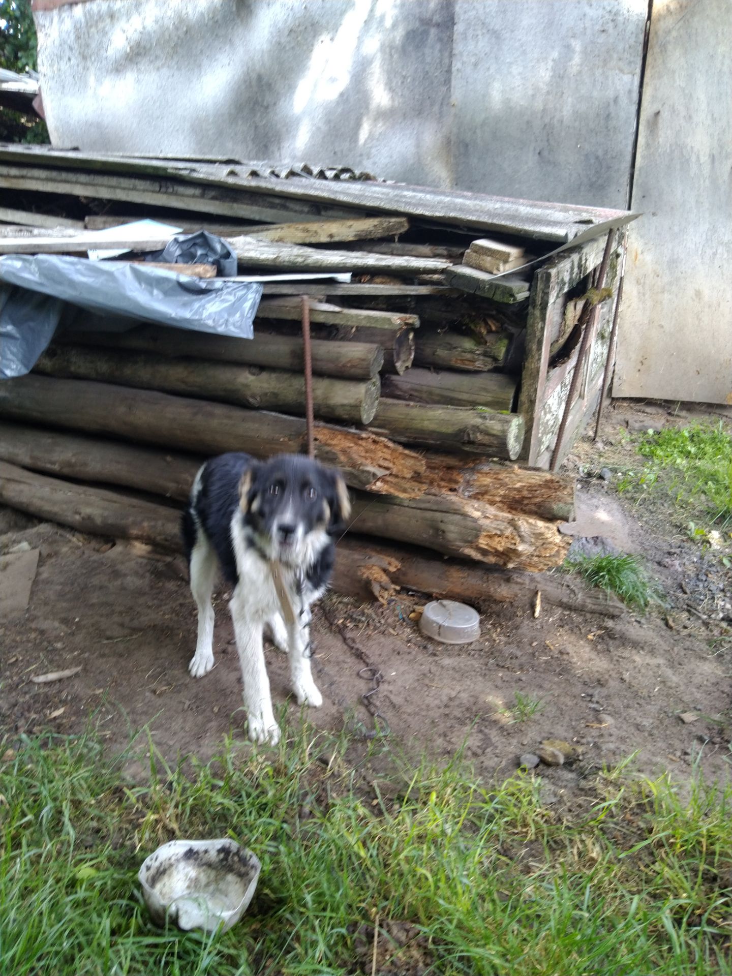 Красива дівчинка, 6 місяців