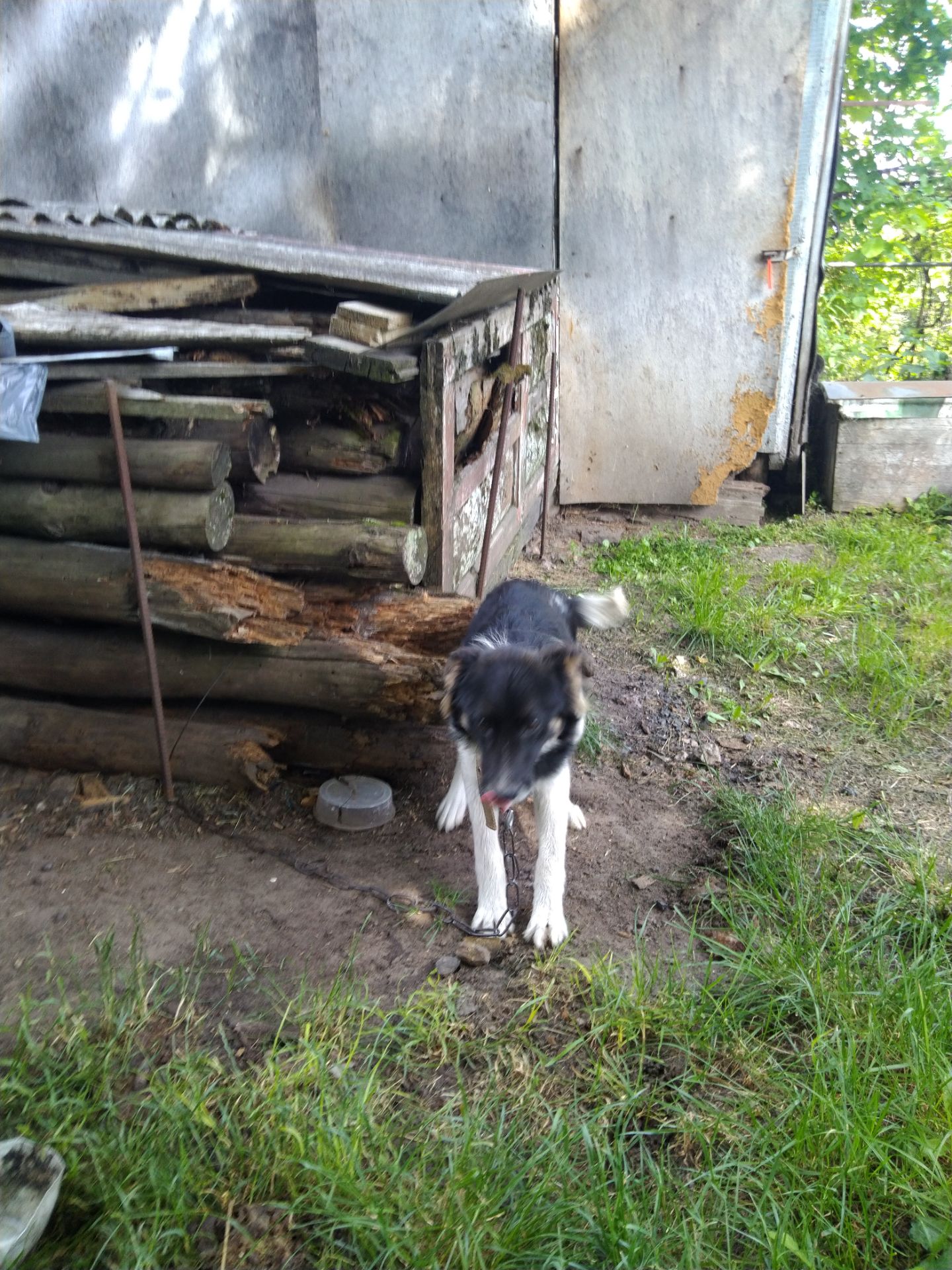 Красива дівчинка, 6 місяців