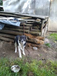 Красива дівчинка, 6 місяців