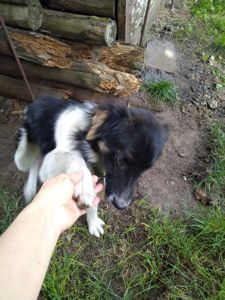 Красива дівчинка, 6 місяців