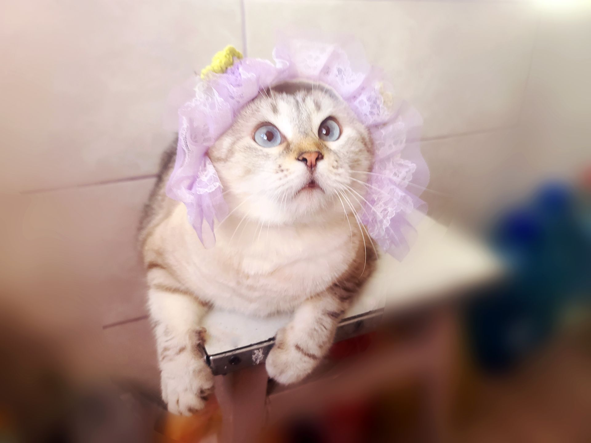 Ляля