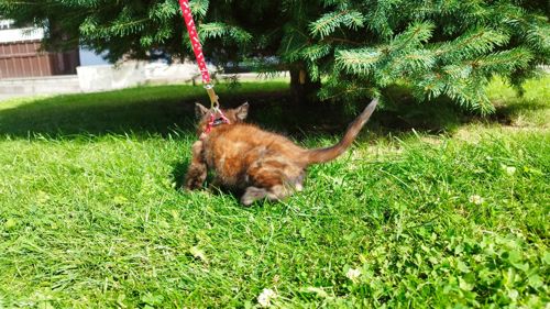 Щастя шукає своїх людей