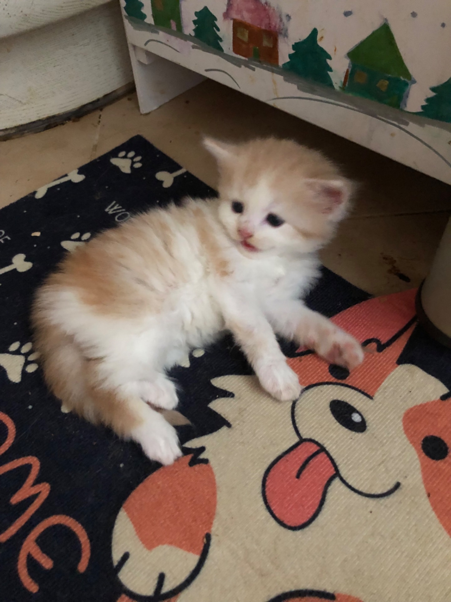 Кошенята
