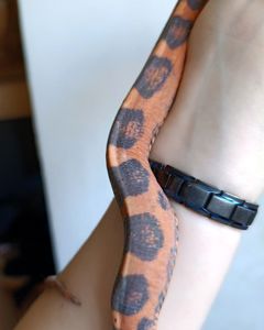 Маїсовий полоз Scaleless