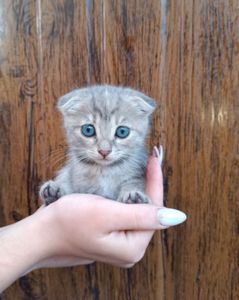 Карамелька