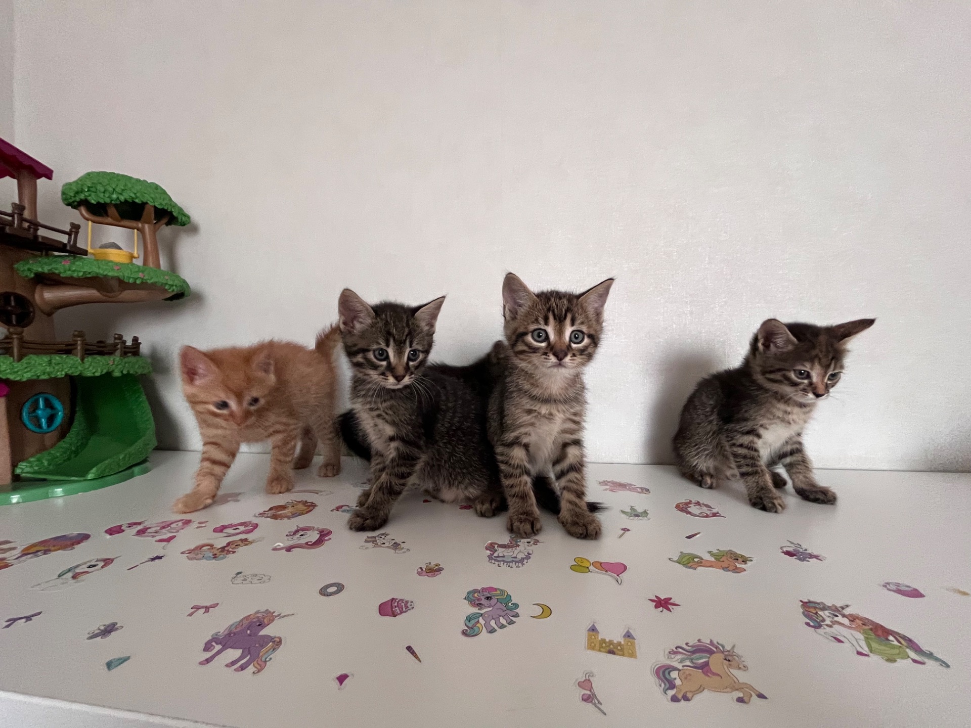 Красунчики