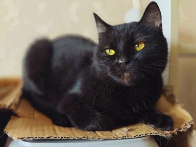 Клеопатра