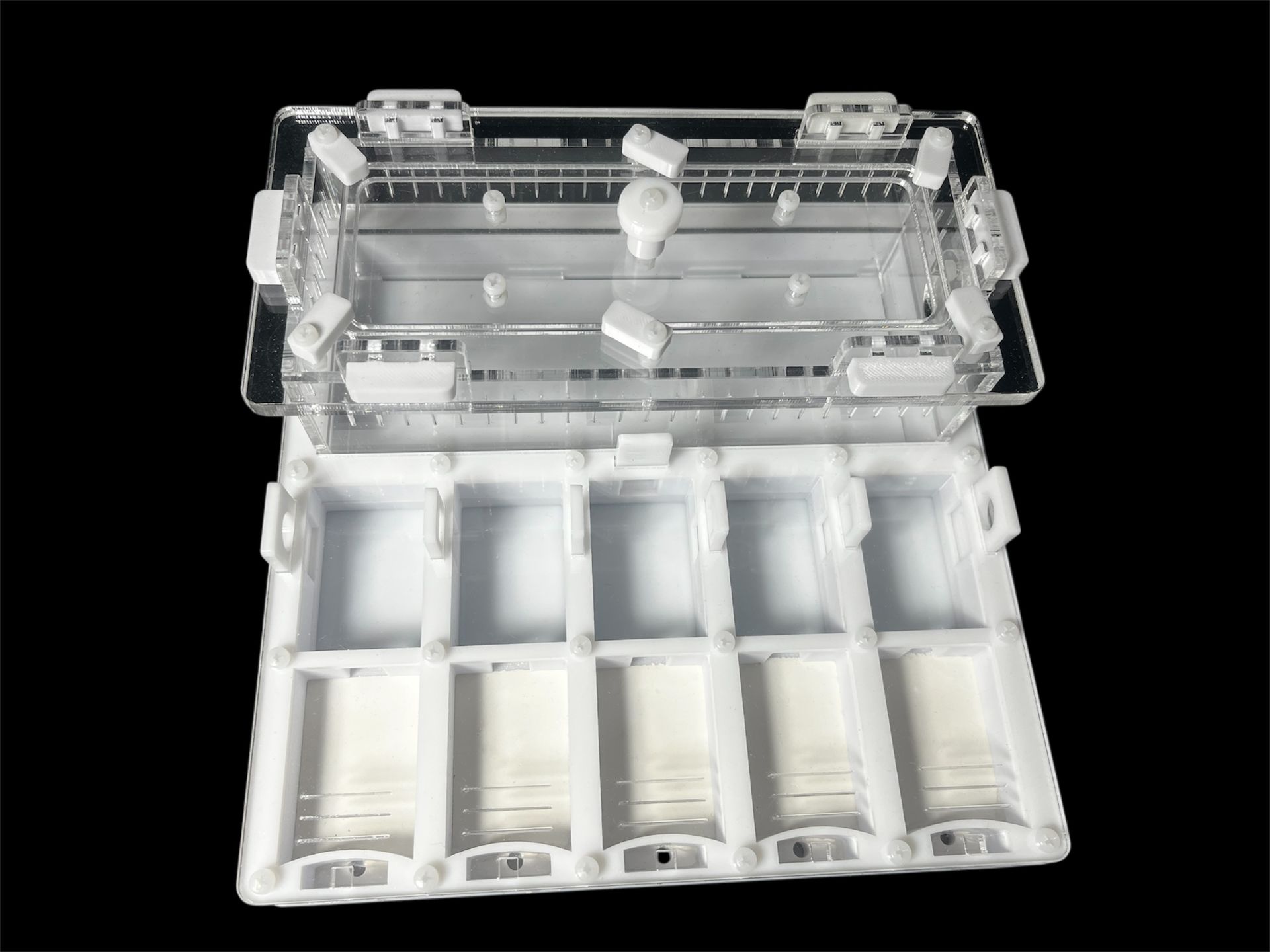 Формікарій для мурашів Camponotus та Messor 20х20см