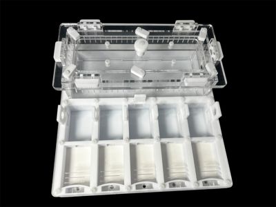 Формікарій для мурашів Camponotus та Messor 20х20см