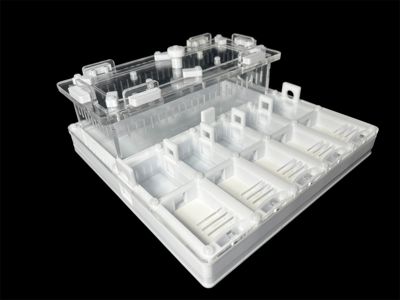 Формікарій для мурашів Camponotus та Messor 20х20см
