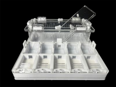 Формікарій для мурашів Camponotus та Messor 20х20см