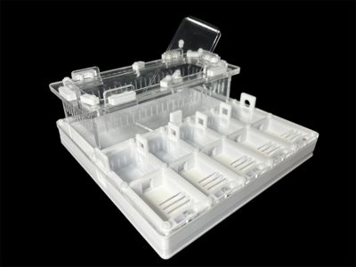 Формікарій для мурашів Camponotus та Messor 20х20см