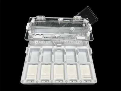 Формікарій для мурашів Camponotus та Messor 20х20см