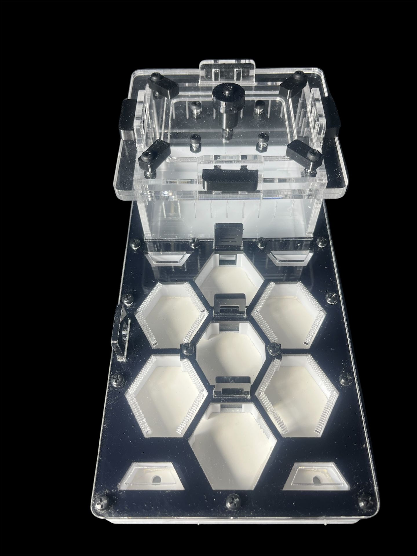 Чорна мурашина ферма для Camponotus та Messor – 600 грн