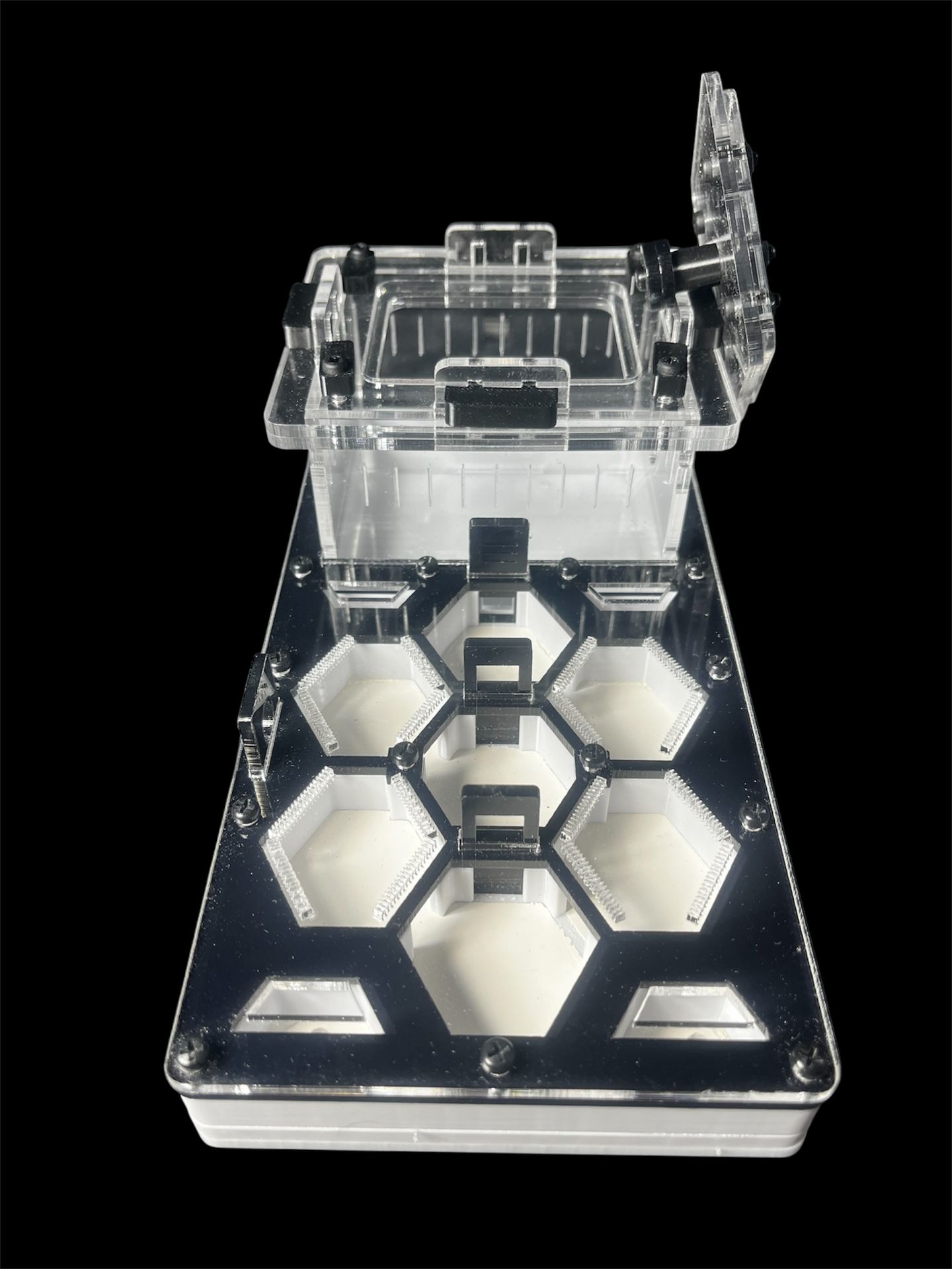 Чорна мурашина ферма для Camponotus та Messor – 600 грн
