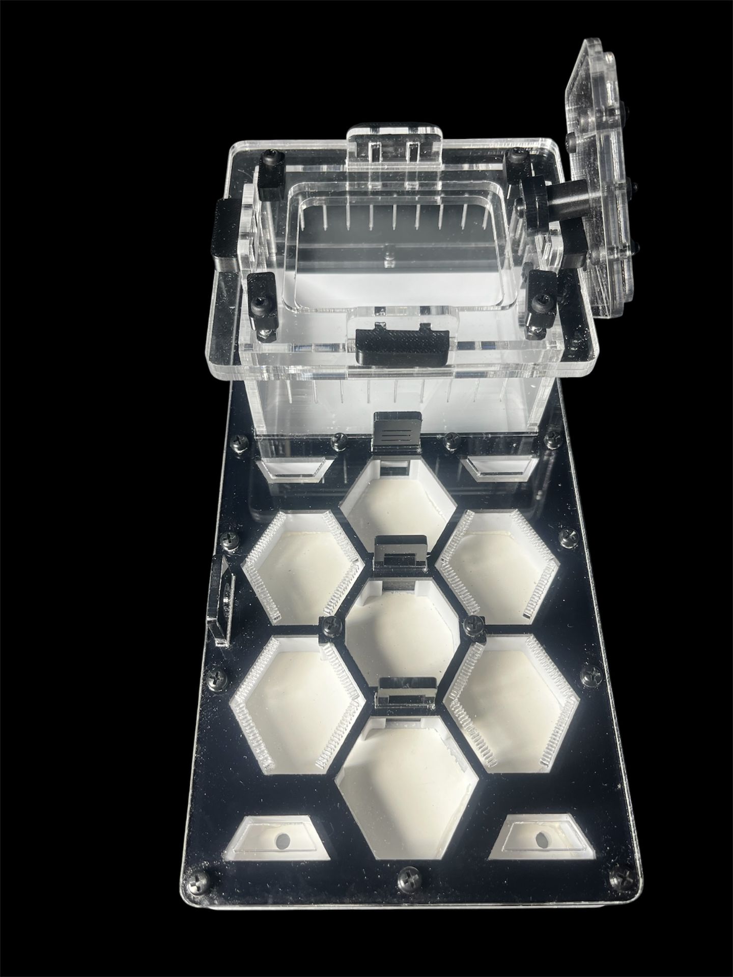 Чорна мурашина ферма для Camponotus та Messor – 600 грн