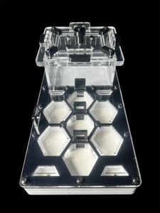 Чорна мурашина ферма для Camponotus та Messor – 600 грн