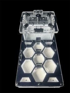 Чорна мурашина ферма для Camponotus та Messor – 600 грн