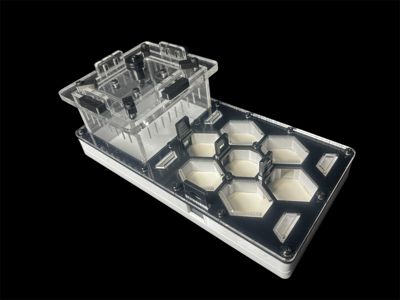 Чорна мурашина ферма для Camponotus та Messor – 600 грн