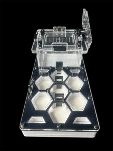 Чорна мурашина ферма для Camponotus та Messor – 600 грн