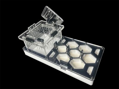 Чорна мурашина ферма для Camponotus та Messor – 600 грн