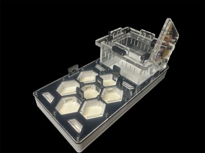 Чорна мурашина ферма для Camponotus та Messor – 600 грн