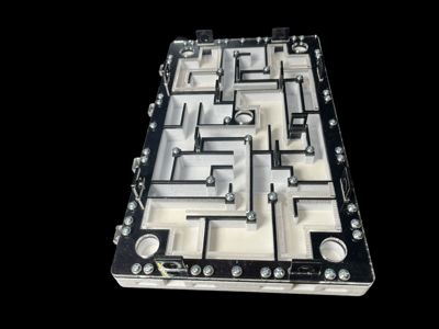 Модуль-лабиринт для муравьиной фермы 18×30 см – купить с гипсовым основанием для Camponotus и Messor