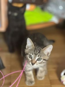 Гуч, 2 місяці