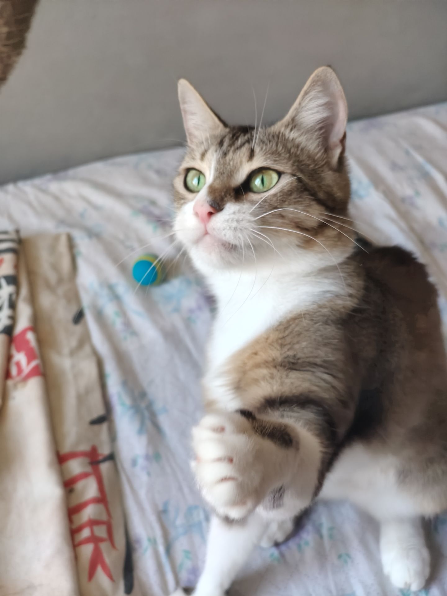 Лана, 3 роки