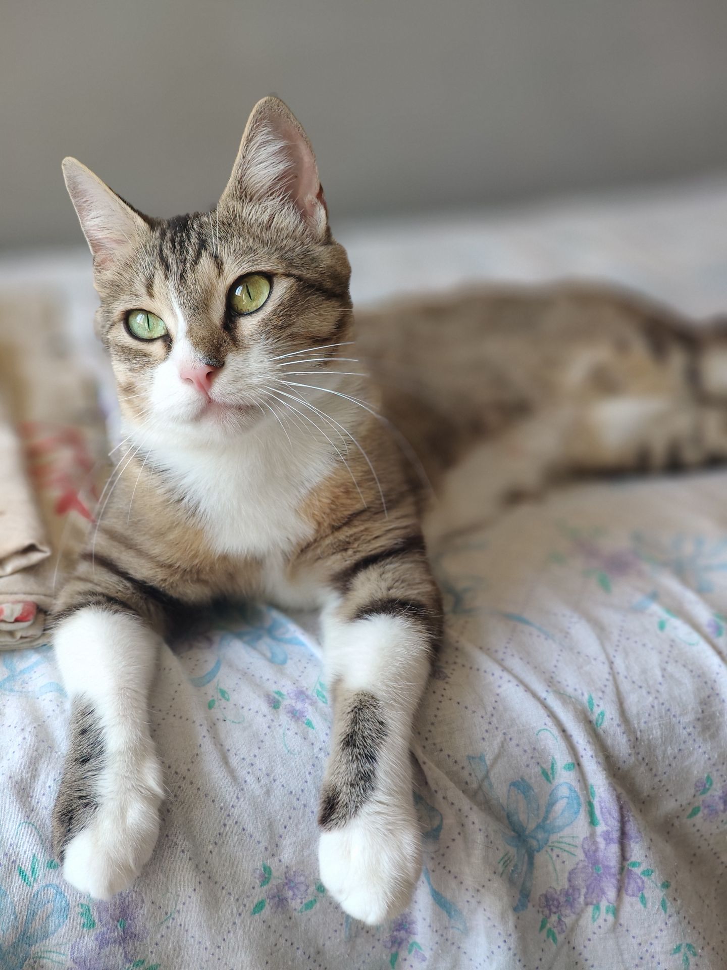 Лана, 3 роки