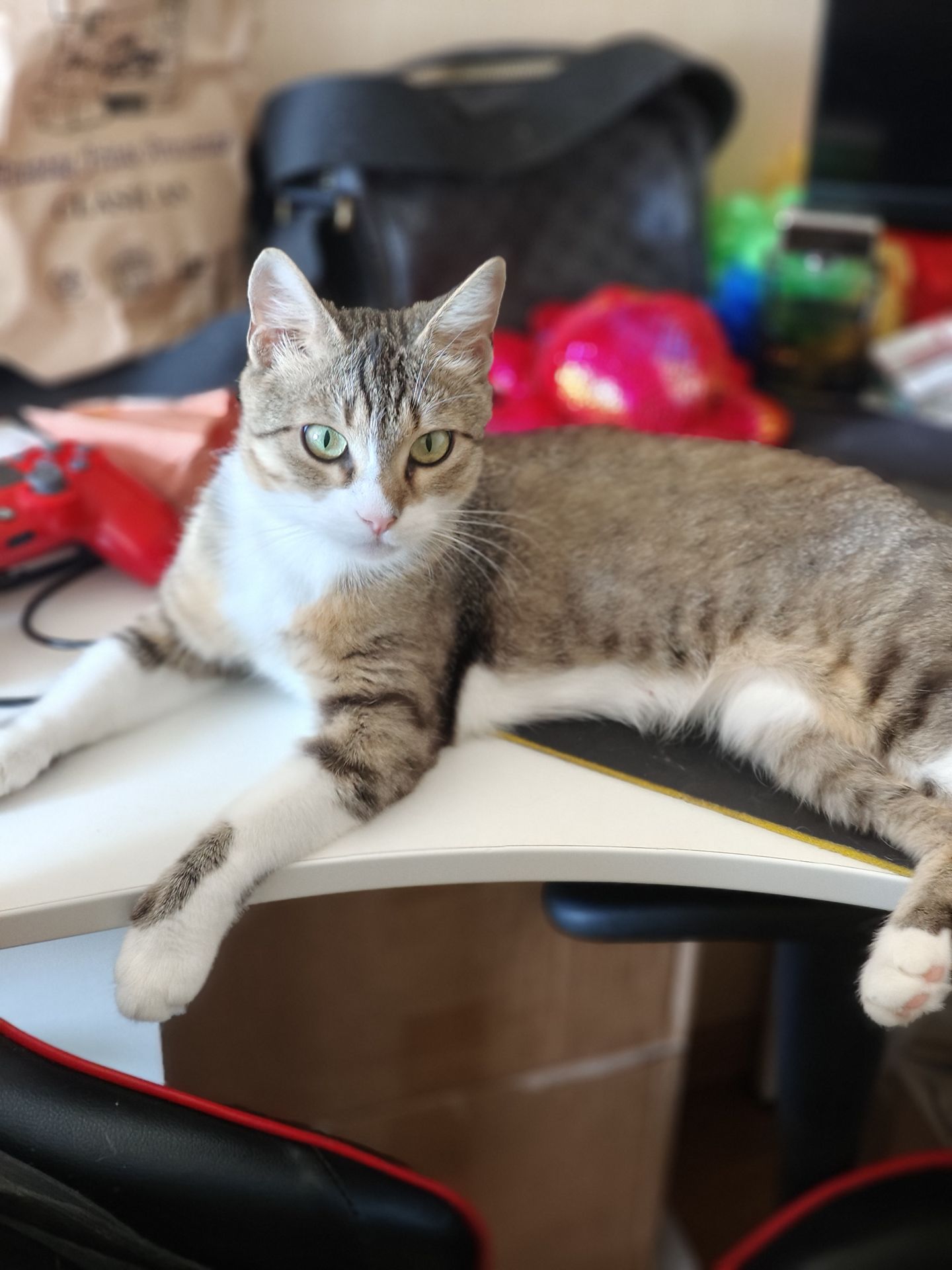 Лана, 3 роки