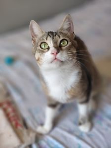 Лана, 3 роки