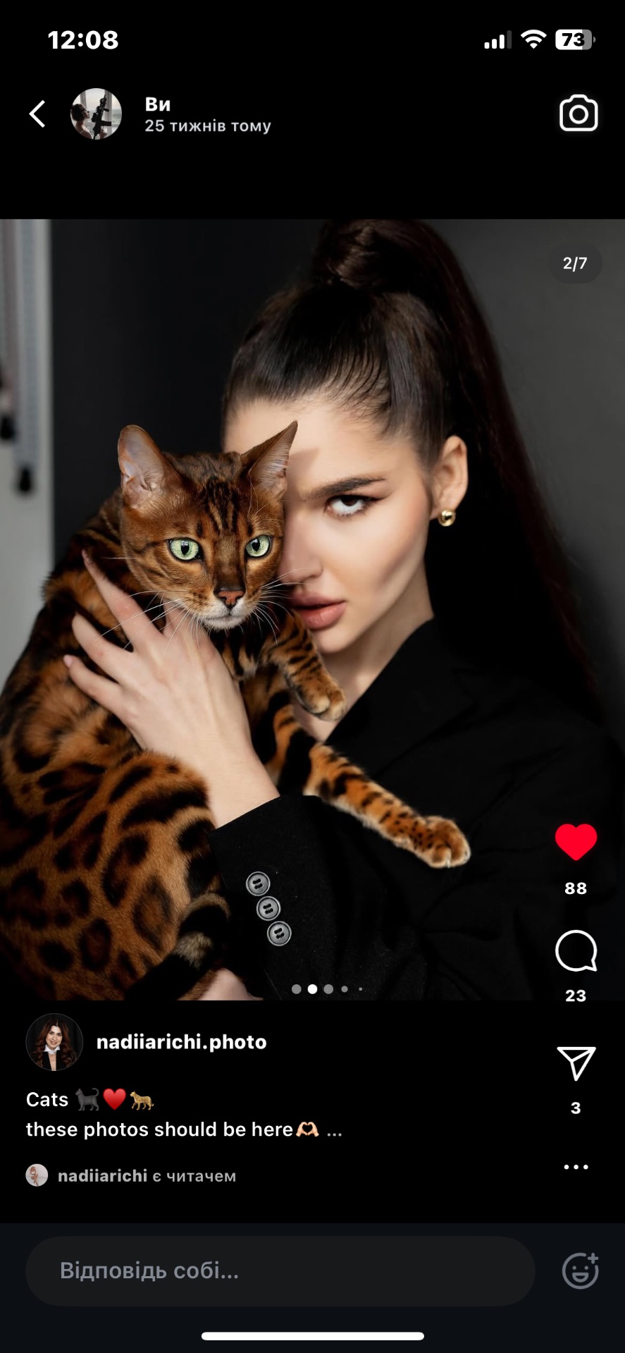 Кошенята В24 бенгали