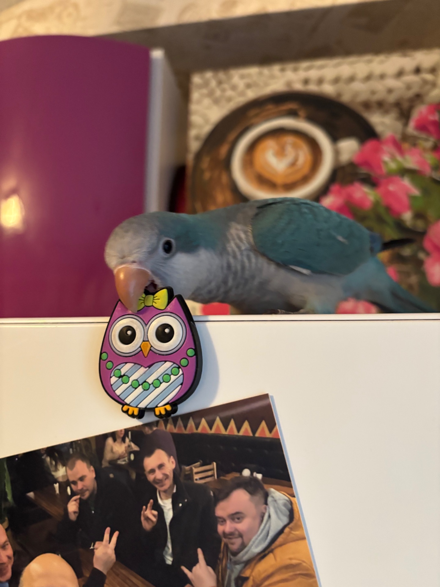 Калитка монах