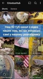 Обирай Розкішного Хома по відео
