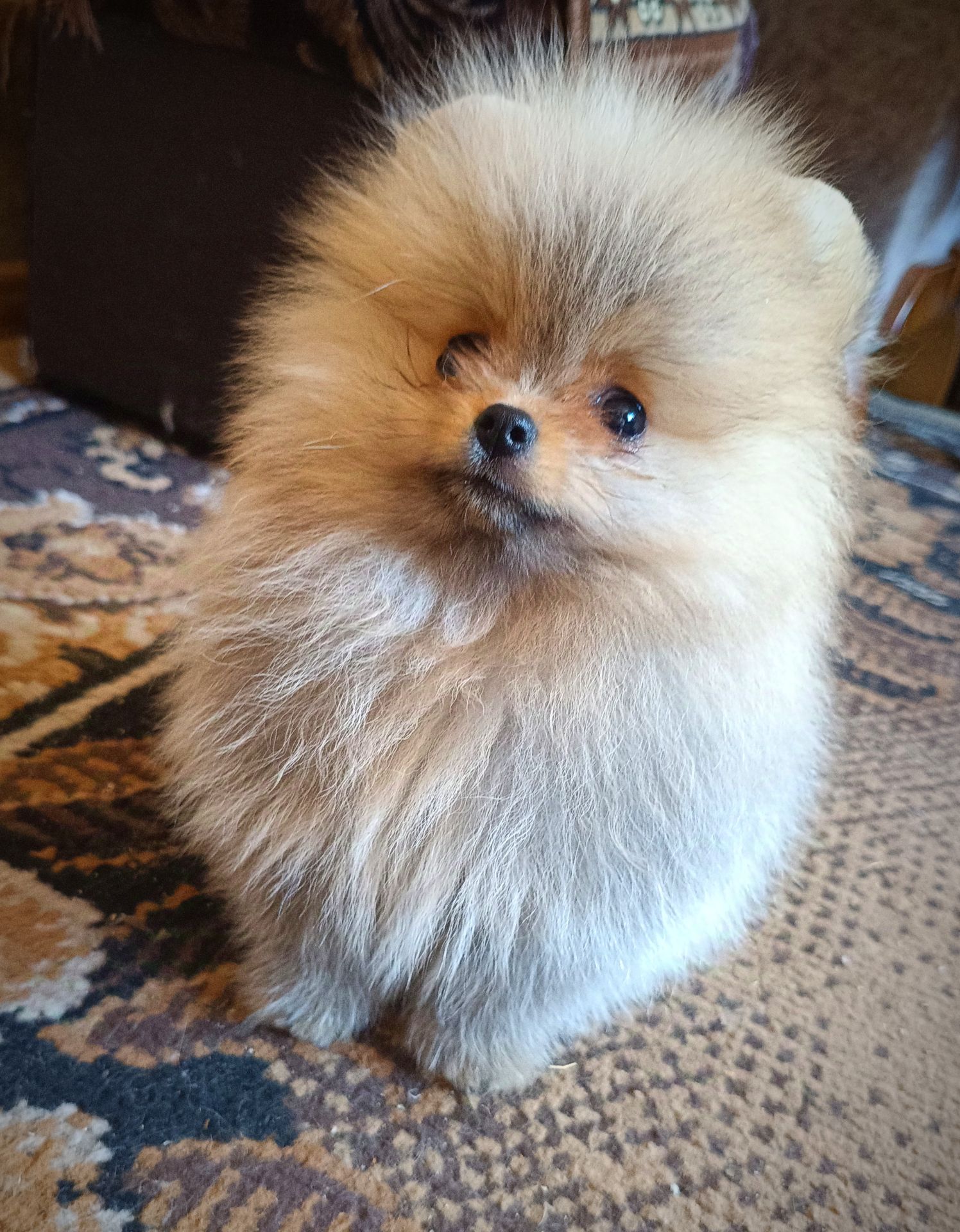 Мини девочка и мальчик