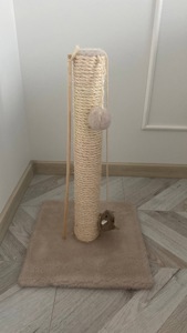 Кошеня дівчинка