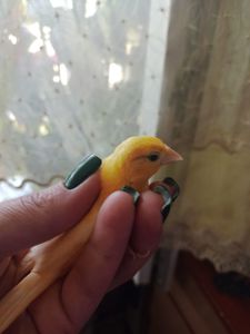 Кенар