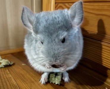 Блакитний діамант
