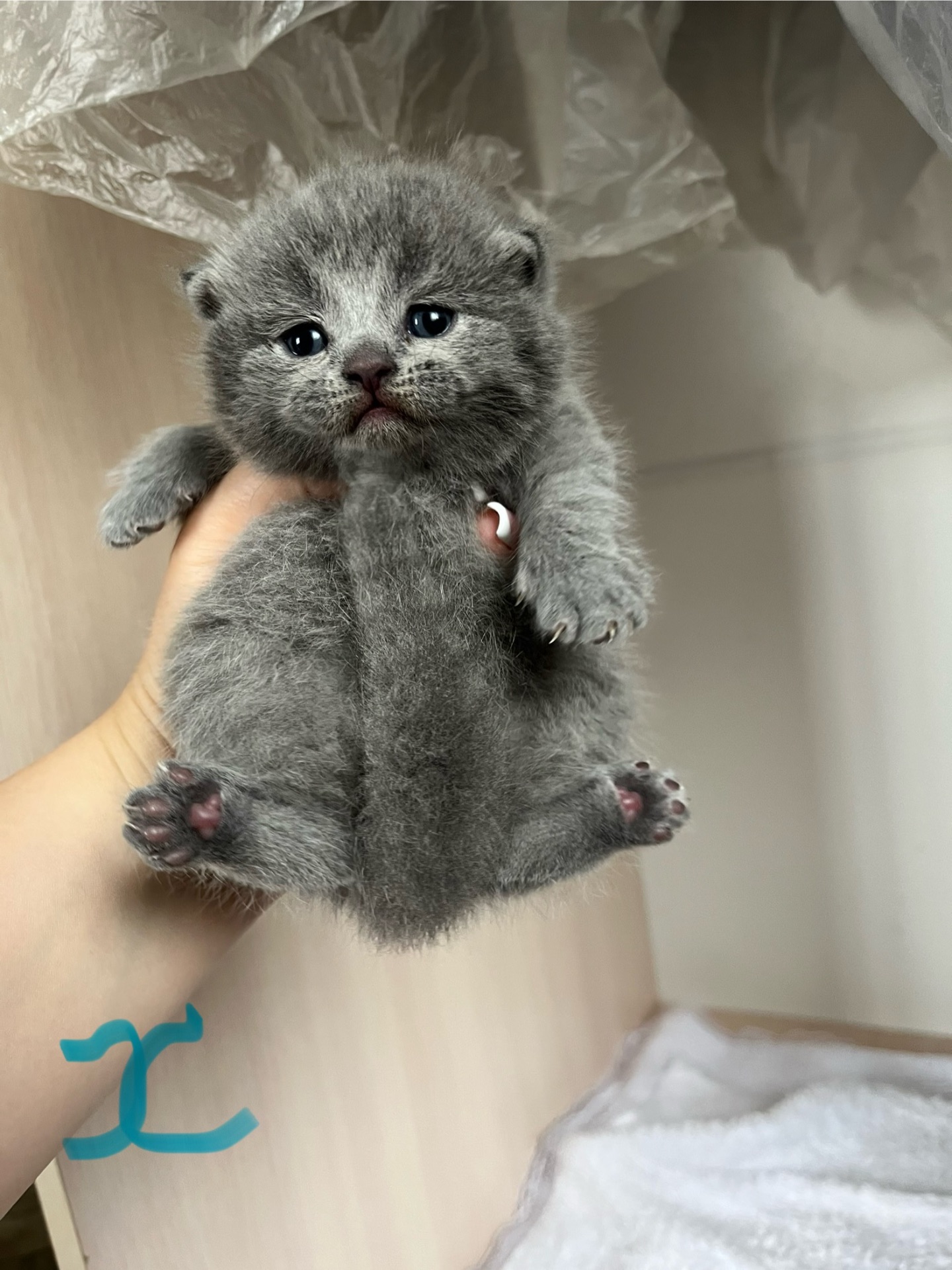 Британські