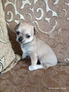 Девочка малышка