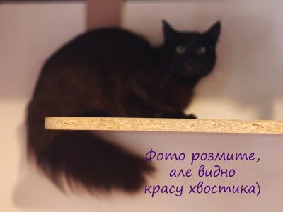 Машка